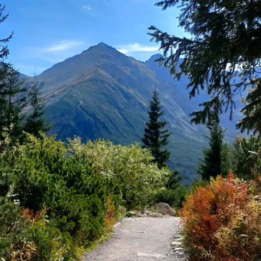Wycieczka z Przewodnikiem na Halę Gąsienicową w Tatrach